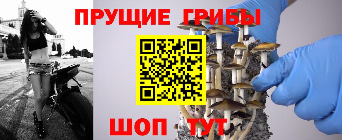 Галлюциногенные грибы Cubensis  Вход с VPN  Тихорецк 