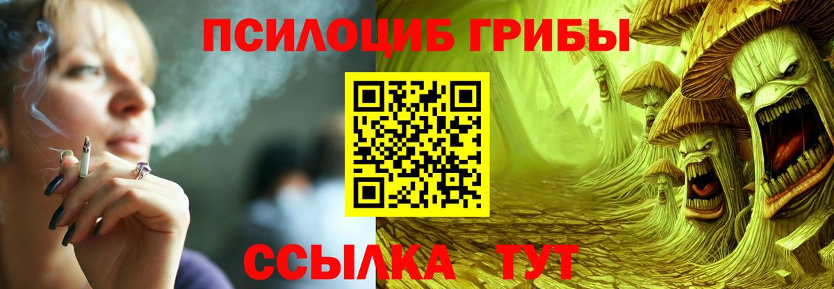Галлюциногенные грибы Psilocybine cubensis Тихорецк